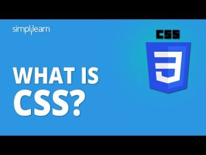 Hướng dẫn tự học CSS cho người mới bắt đầu